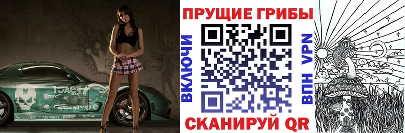 Купить где  Чайковский  Псилоцибиновые грибы GOLDEN TEACHER 